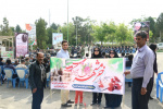 گزارش تصویری حضور کارکنان ستاد استانی در مراسم مهمانی لاله ها و مزار شهدای دانشگاه جامع علمی کاربردی استان به مناسبت سالروز آزادی خرمشهر-پنج شنبه ۹۷/۳/۳