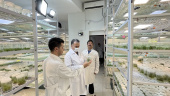 رئیس دانشگاه جامع علمی کاربردی استان آذربایجان غربی از شرکت دانش بنیان اروم زیست تاک ارومیه بازدید کرد